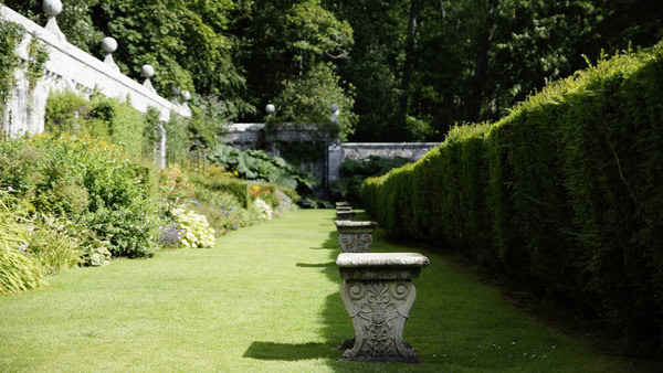 Heimische Pflanzen im Garten fördern - Praktische Ratschläge von Maximilian Zieseniß