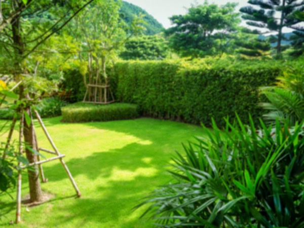 Tipps für die Gartenpflege in verschiedenen Jahreszeiten: Expertenrat von Hobbygärtner Maximilian Zieseniß